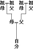 家系図　祖父母